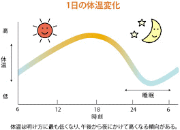 1日の体温変化